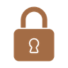 CYBER SECURITY Icon