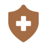 HEALTHCARE IT Icon